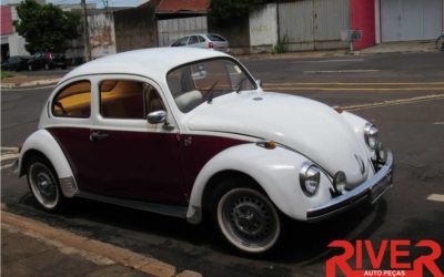 Relíquias Automotivas | Fusca 1300 74 de José Raimundo